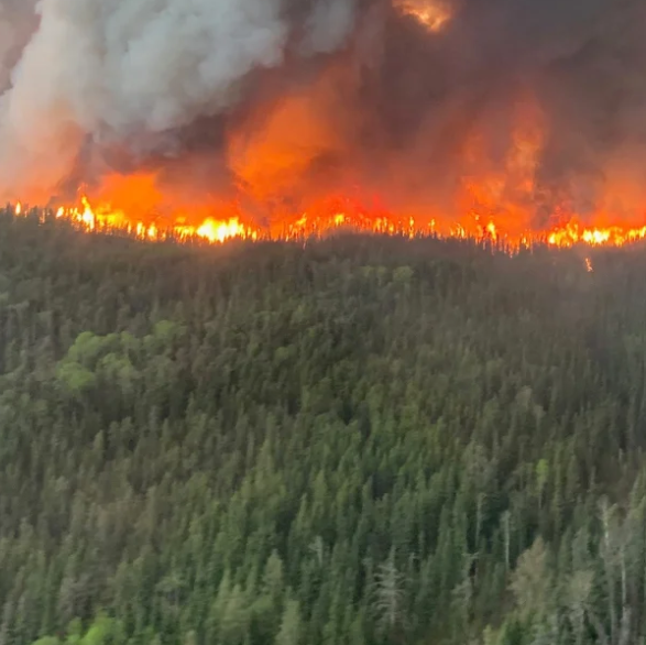 TIAM calls on Ministers regarding wildfire communication and support