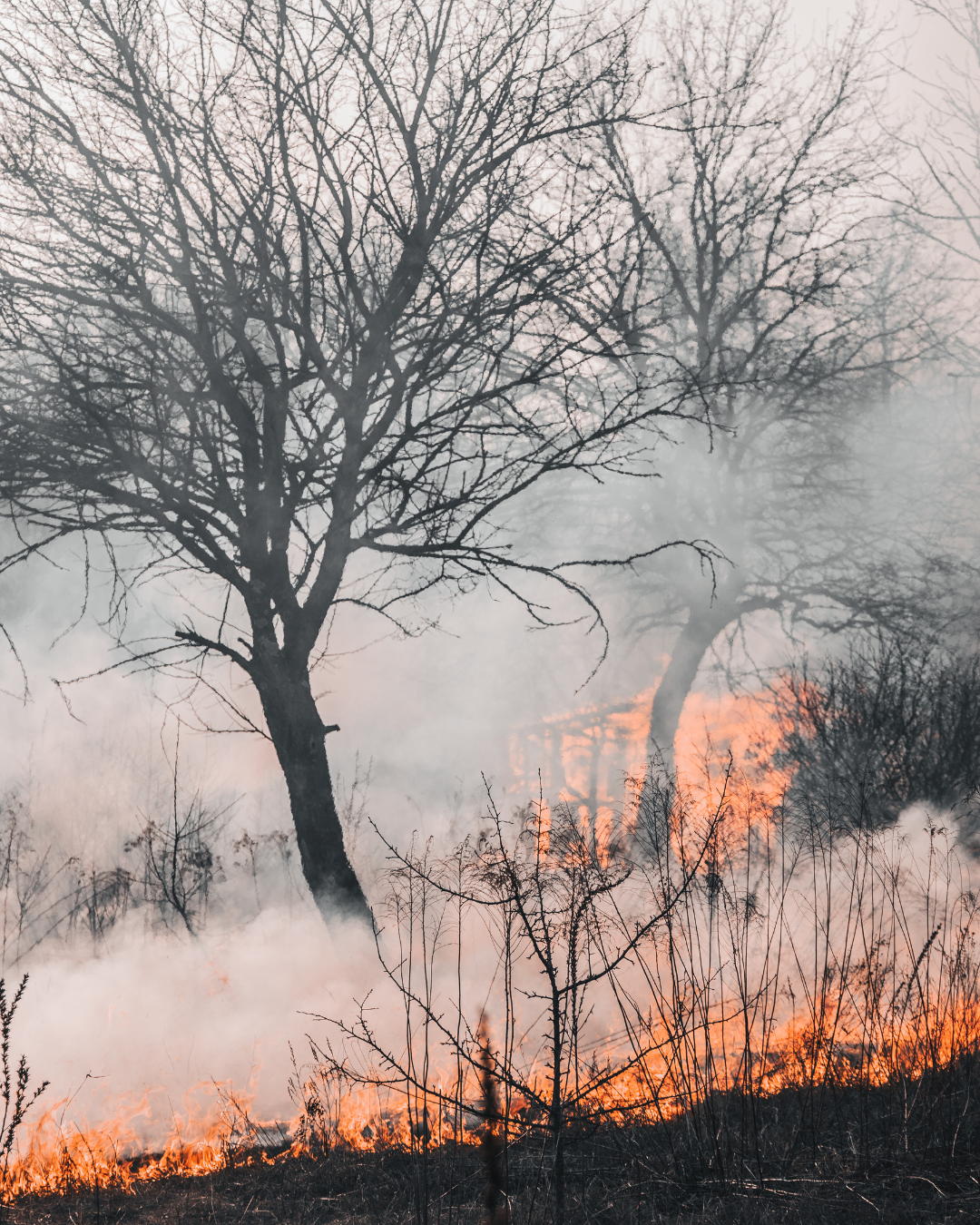 TIAM Wildfire Response